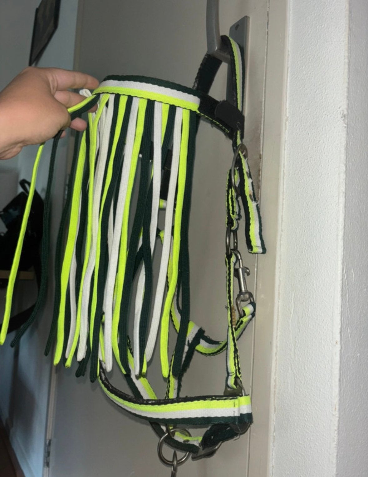 Halster met vliegenfrontriem + touw neon COB, Ophalen of Verzenden, Zo goed als nieuw, Cob, Epplejeck