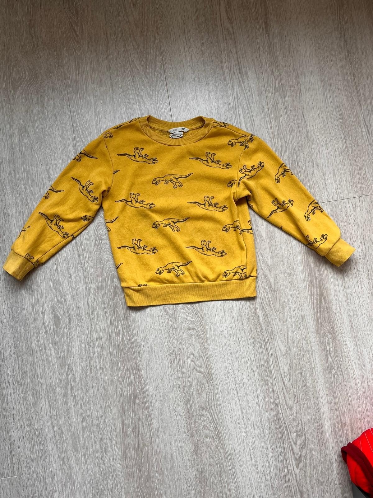H&M Gele Trui met Dinosaurusprint Maat 110/116, Ophalen, Gebruikt, Trui of Vest, H&M