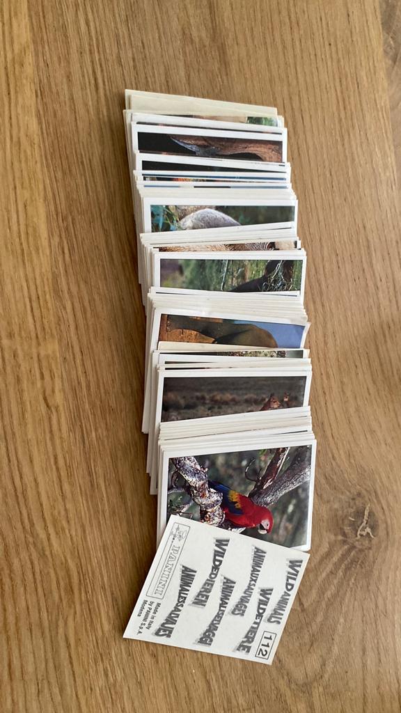 150 x wild animals panini, Ophalen of Verzenden, Zo goed als nieuw, Plaatje