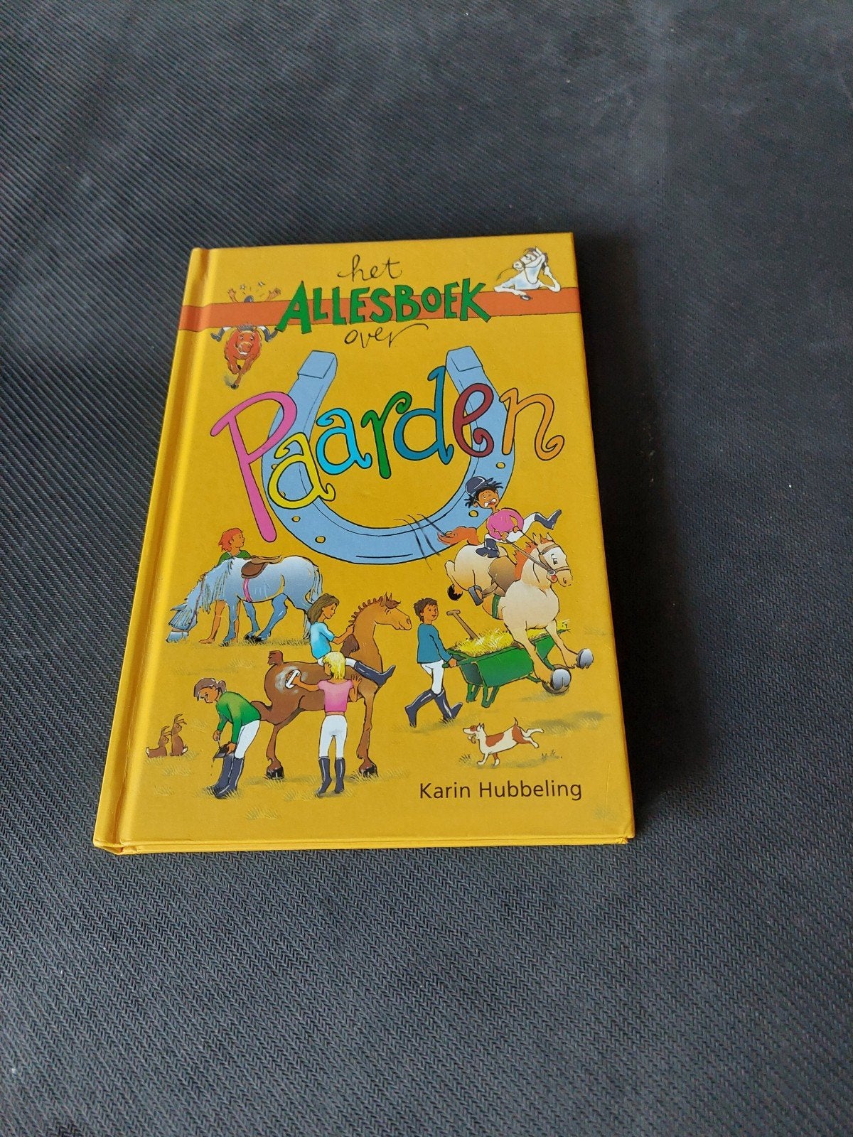 Het Allesboek over Paarden - Karin Hubbeling, Ophalen of Verzenden, Gelezen, Karin Hubbeling, Non-fictie