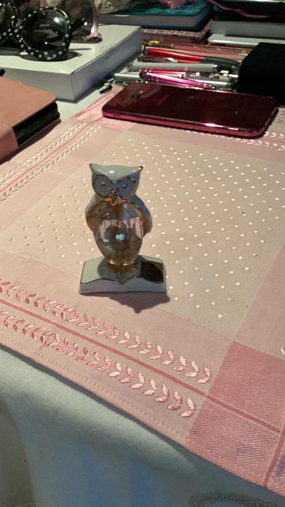 Uilje met swarovski, Ophalen of Verzenden