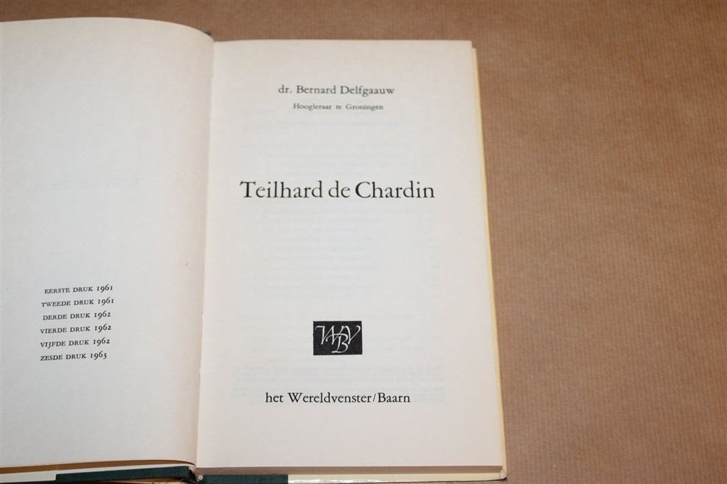 Teilhard de Chardin — Delfgaauw over Evolutie en Geloof, Ophalen of Verzenden, Gelezen