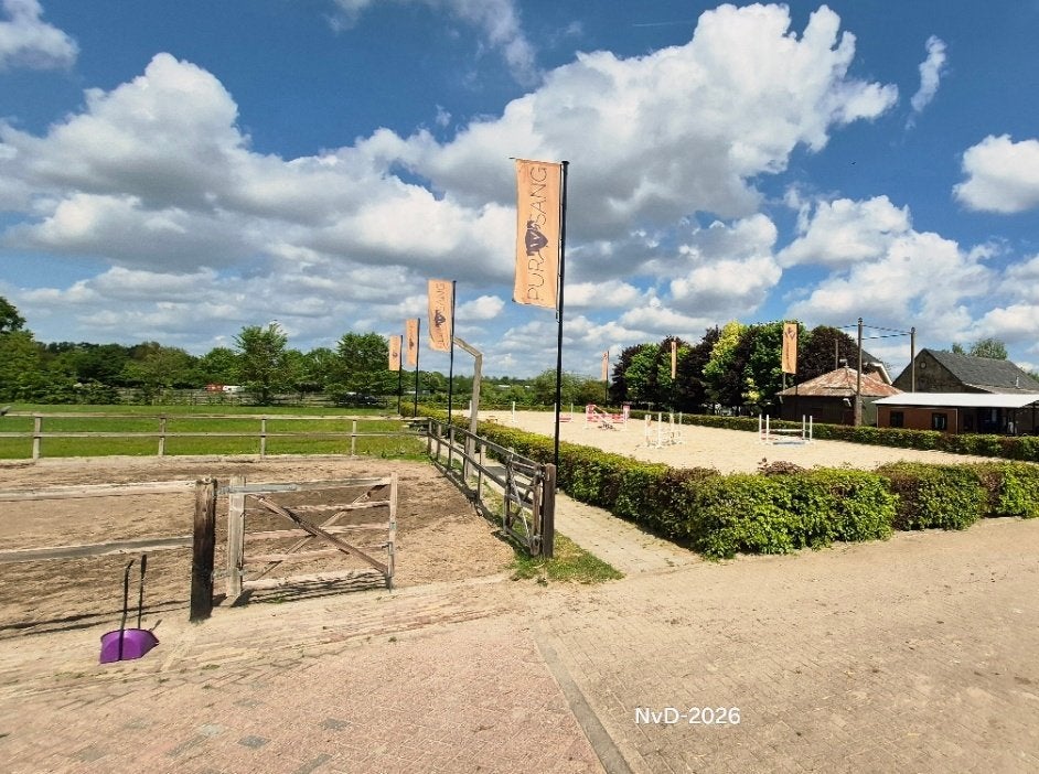 Vakantiestalling paarden in Otterlo op de Veluwe, Dieren en Toebehoren, Stalling, 4 paarden of pony's of meer