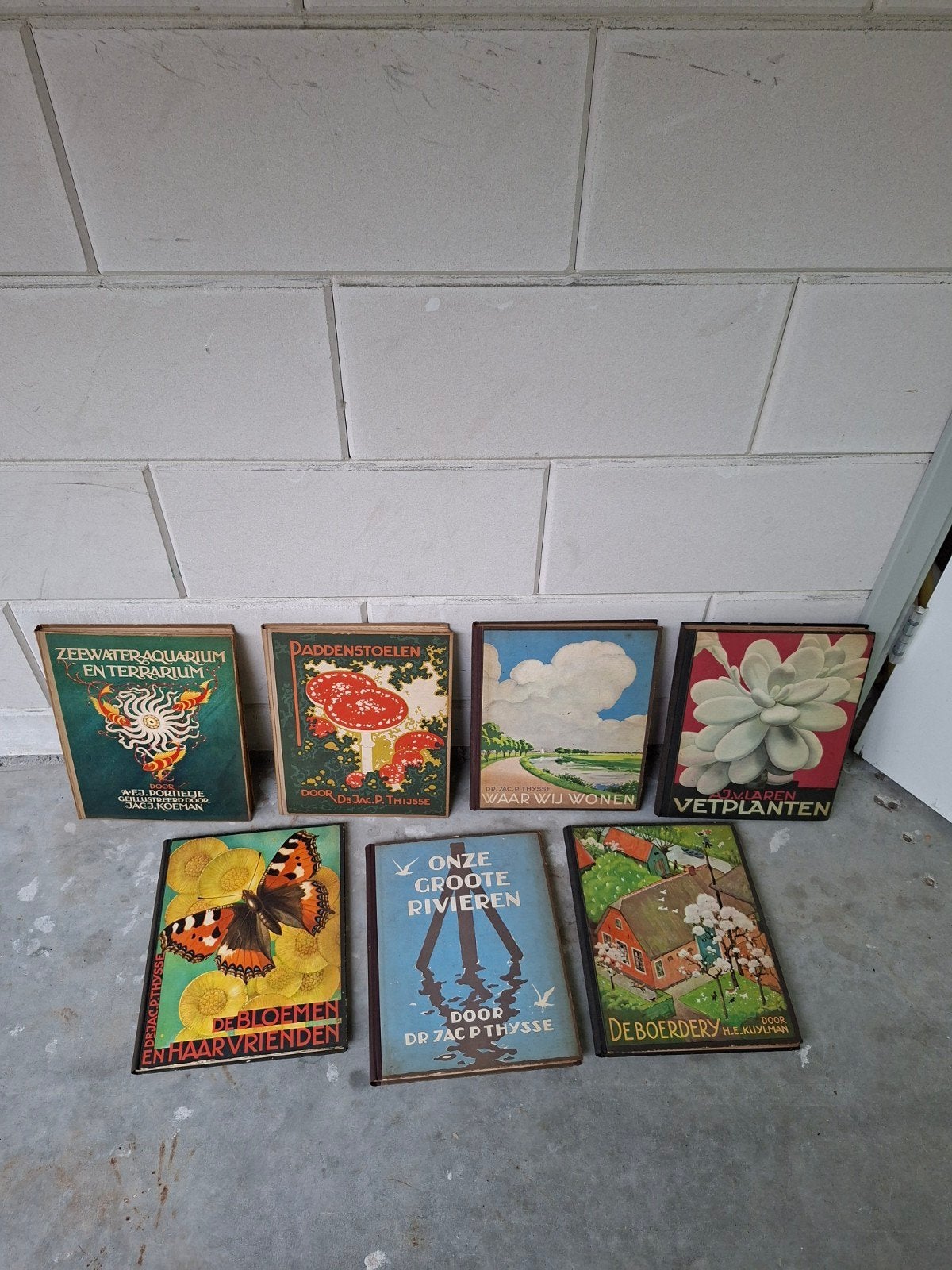 Vintage Natuurboeken Collectie - Diverse Onderwerpen, Ophalen of Verzenden, Gelezen, Natuur algemeen, Diverse auteurs, waaronder Dr. Jac. P. Thijsse en H.E. Kuylman