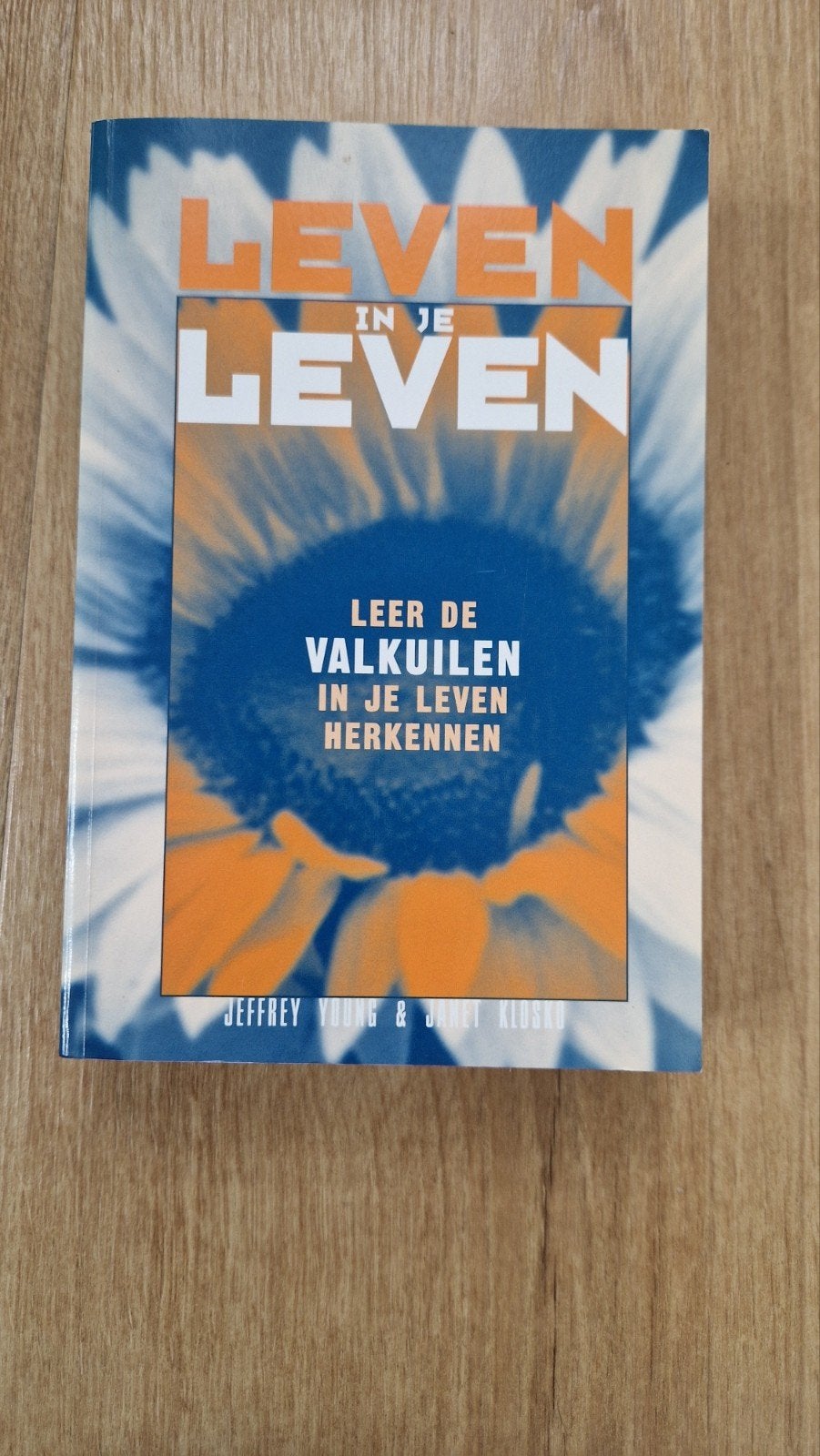 J. Young - Leven in je leven, Boeken, Ophalen of Verzenden, Zo goed als nieuw