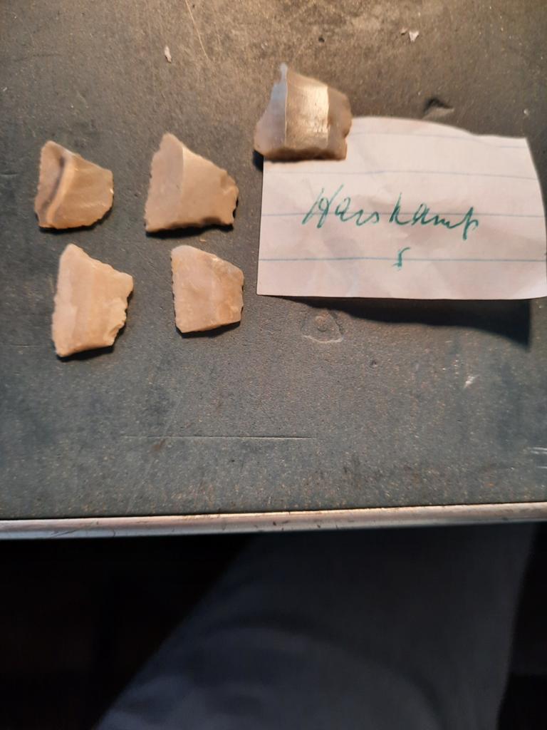 Pijlpuntjes Harskamp, Ophalen of Verzenden