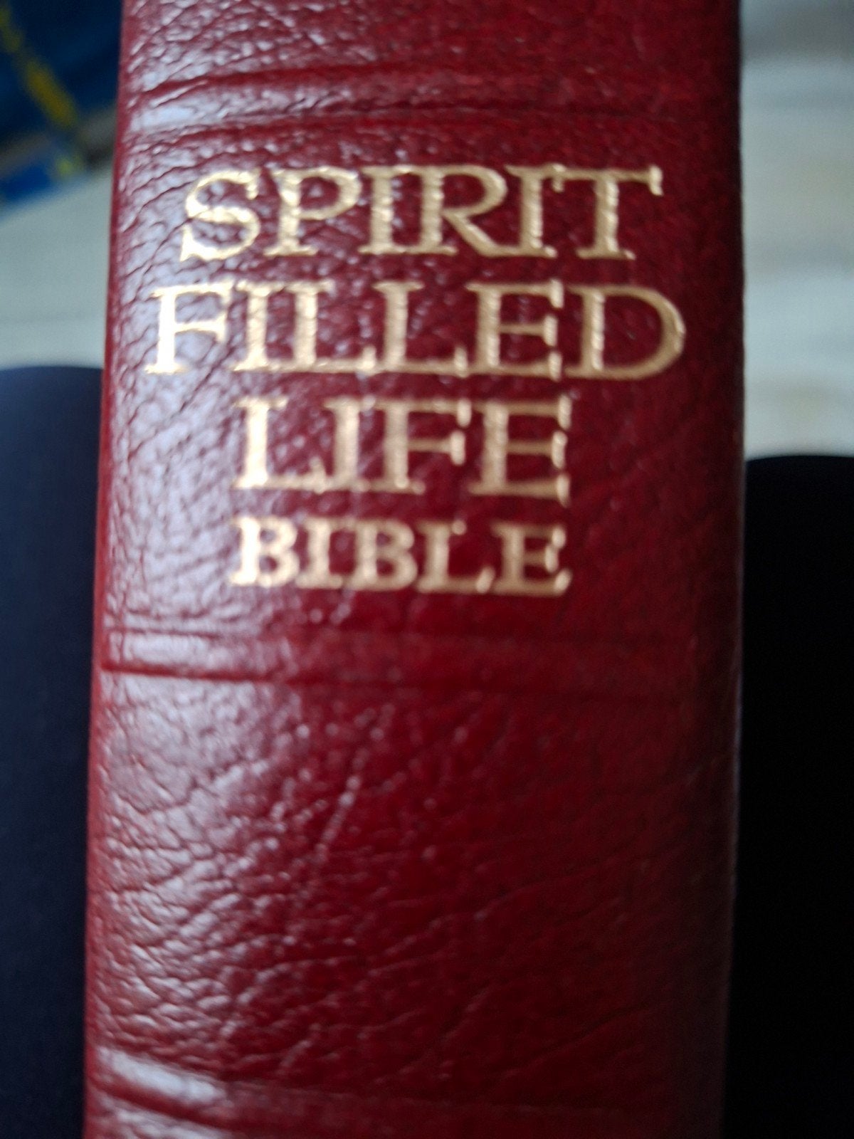 Spirit Filled Life Bijbel - New King James Version, Boeken, Ophalen, Gelezen