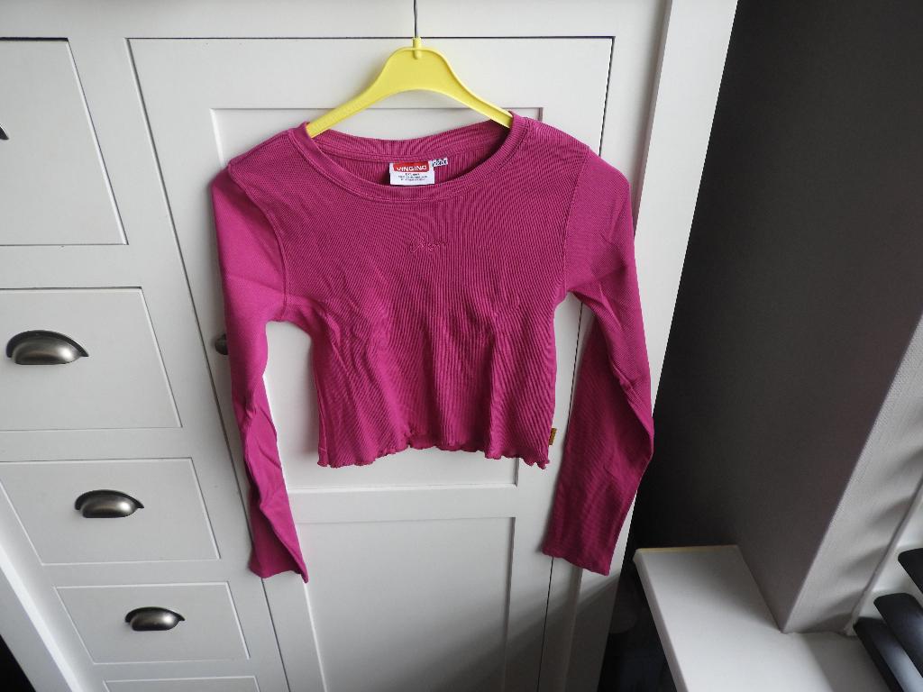 Meisjes shirt lange mouw. Maat 170, Kinderen en Baby's, Kinderkleding | Maat 170, Meisje, Ophalen of Verzenden, Zo goed als nieuw