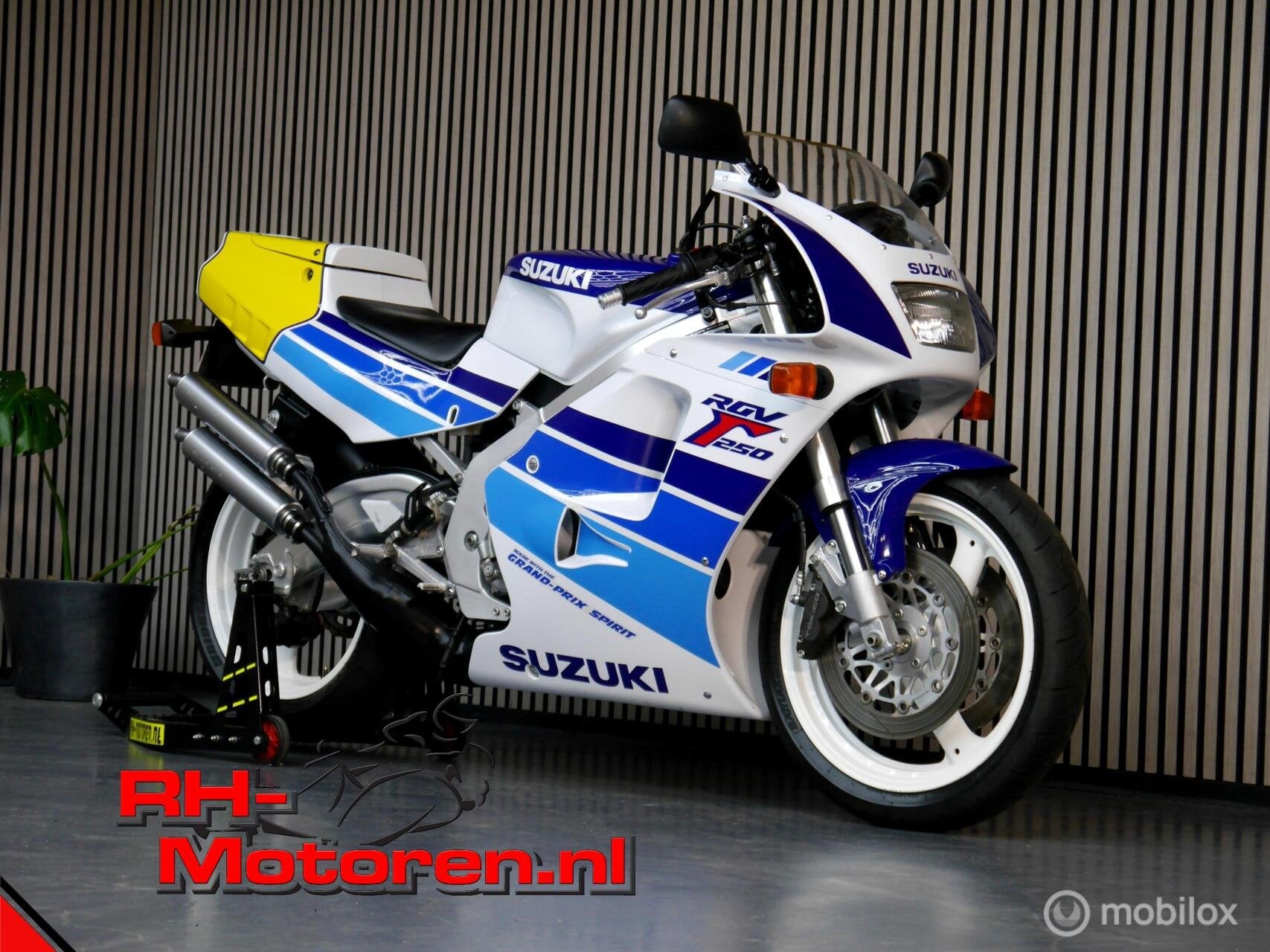 Suzuki RGV 250 VJ22 * Concoursstaat * ( rgv250 rs250 nsr ), Bedrijf, Sport, Meer dan 35 kW, 249 cc
