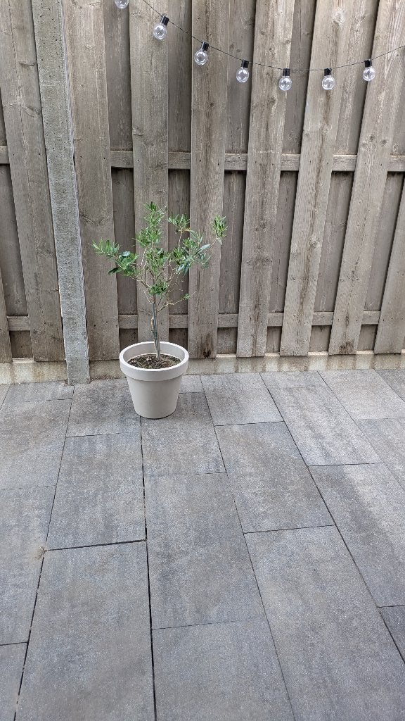 Gratis Betonnen terrastegel Zo goed als nieuw, Ophalen, 5 tot 10 m², Zo goed als nieuw, Beton