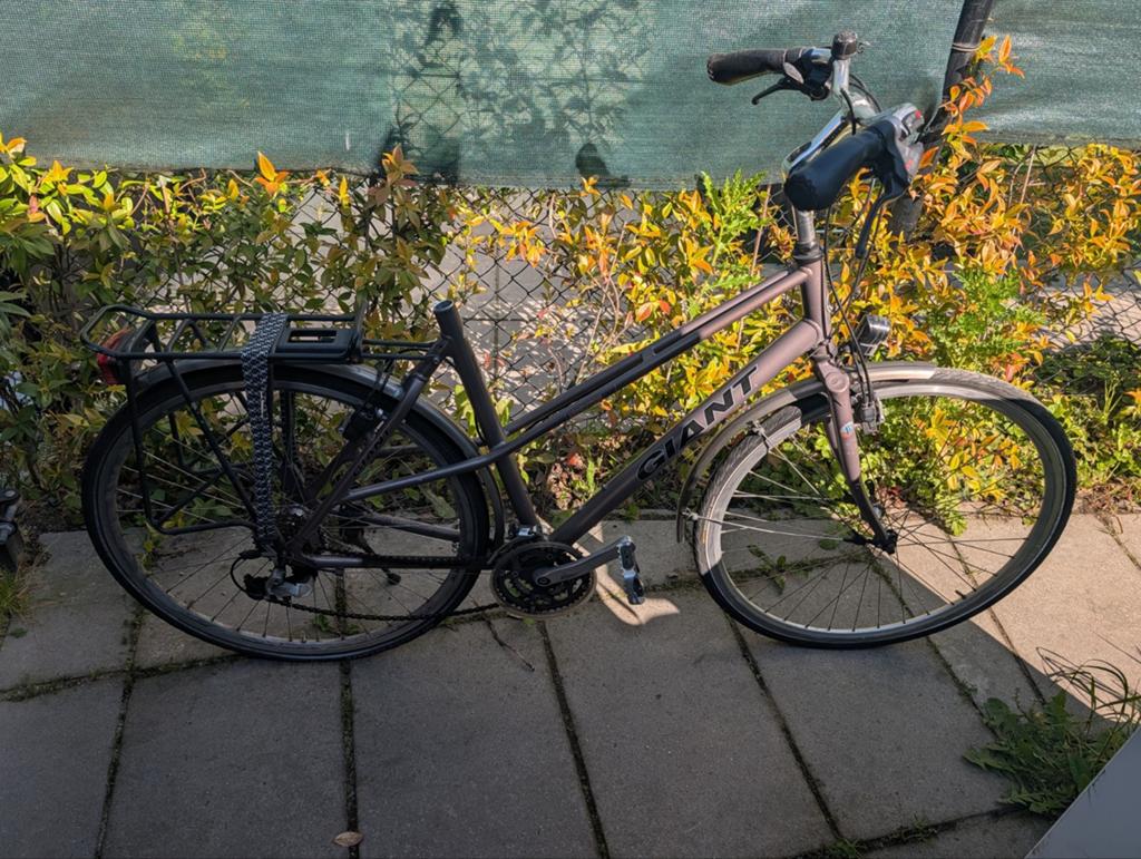 Klus fietsen voor een prikkie, Gaint en Batavus, Ophalen of Verzenden, Gebruikt, Giant