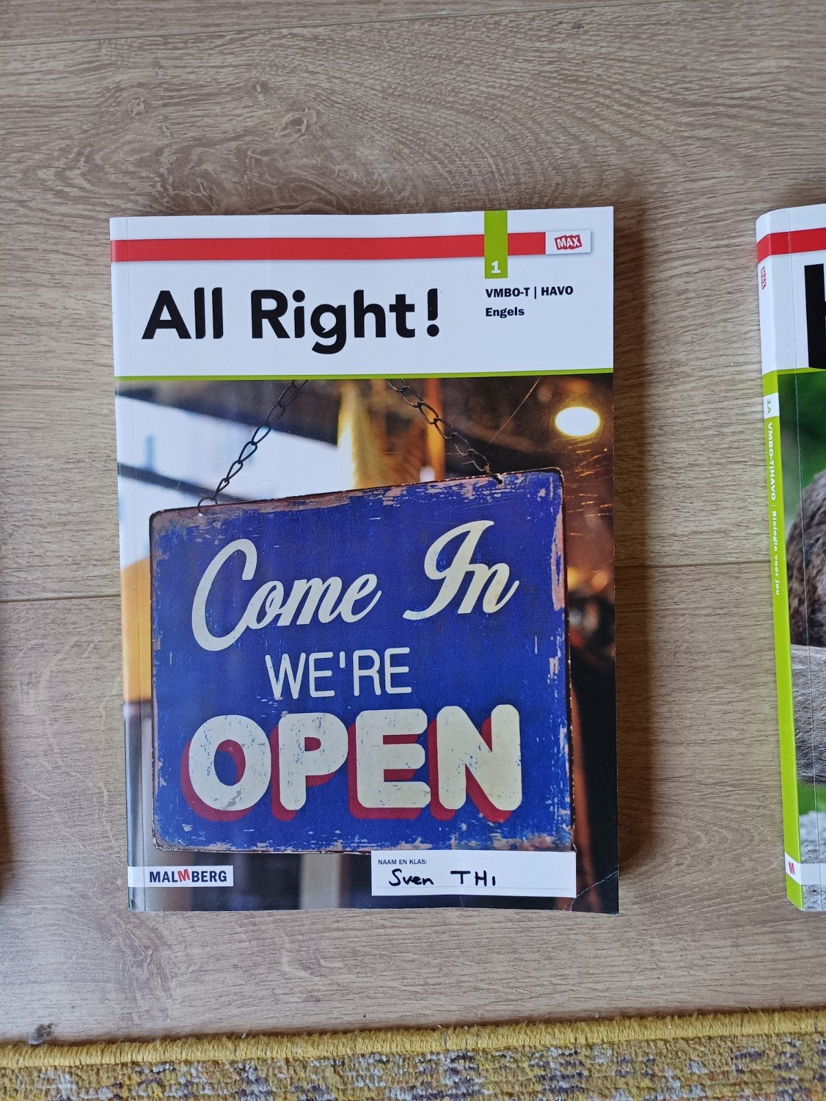 Op niveau Nederlands en All Right voor Ludy, Ophalen, Alpha, Overige niveaus
