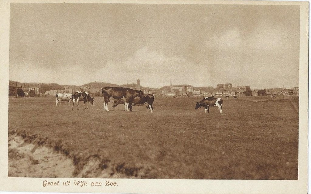 Ansichtkaart WIJK aan ZEE     Groeten uit, Verzenden, 1940 tot 1960, Ongelopen, Noord-Holland