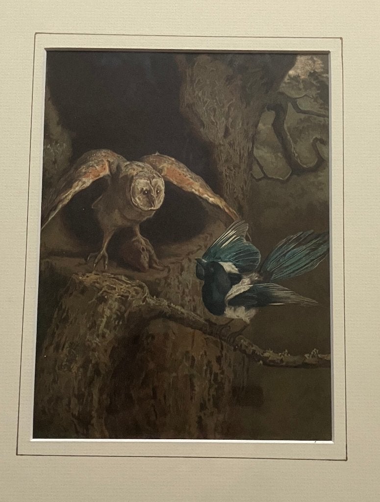 Arthur Charles Dodd 1887 vechtende vogels, Verzenden