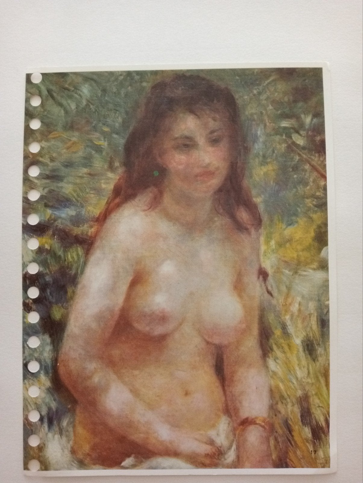 Renoir print Naakt in de zon, Ophalen of Verzenden