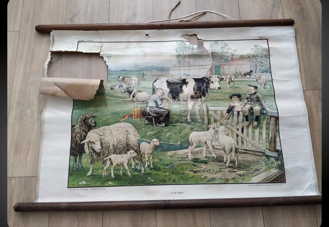 Antieke schoolplaat 'Op de weide' - Boerderijleven, Antiek en Kunst, Ophalen of Verzenden, Natuur en Biologie