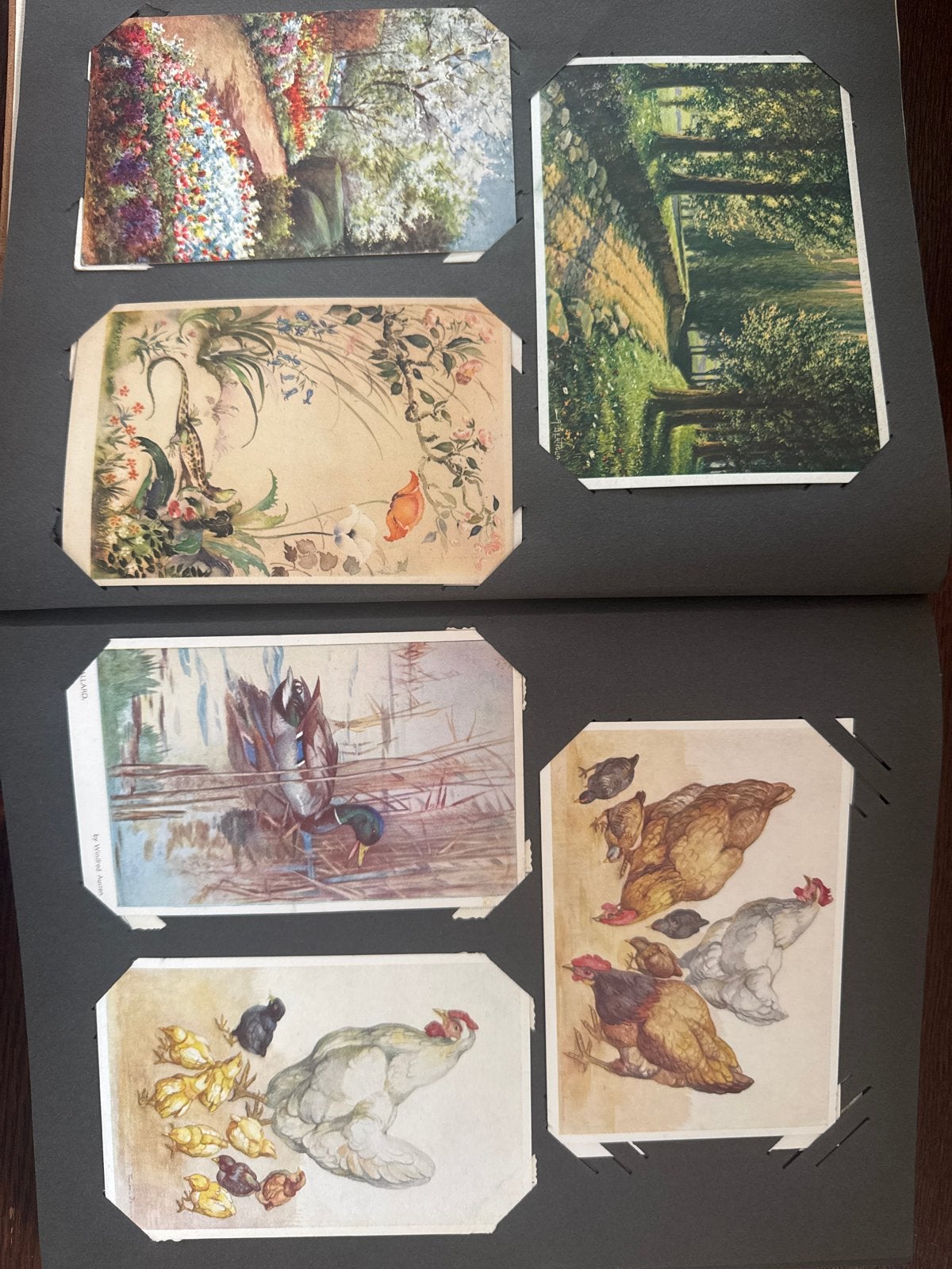 Vintage Ansichtkaarten Album - Diverse Thema's, Verzamelen, Ansichtkaarten | Nederland, Ophalen of Verzenden, Voor 1920, Noord-Holland