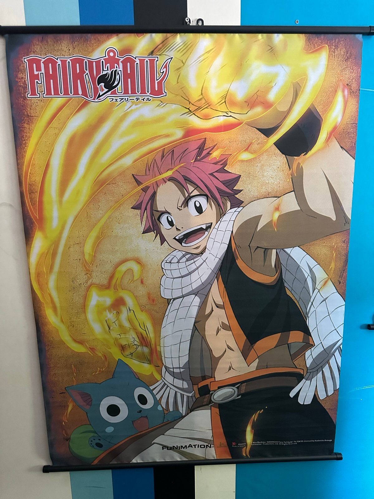 3 Fairy Tail Posters - Anime Manga Decoratie, Rechthoekig Staand, Ophalen of Verzenden, Zo goed als nieuw, A1 t/m A3