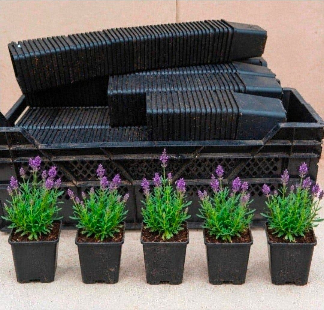 Kweekpotten plantenpotten bloempotten p9 9x9x10 cm zwart, Kunststof, Vierkant, Ophalen of Verzenden, Nvt