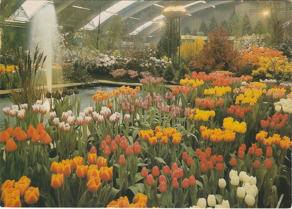 BOVENKARSPEL Westfriese Flora, Verzenden, 1960 tot 1980, Ongelopen, Noord-Holland
