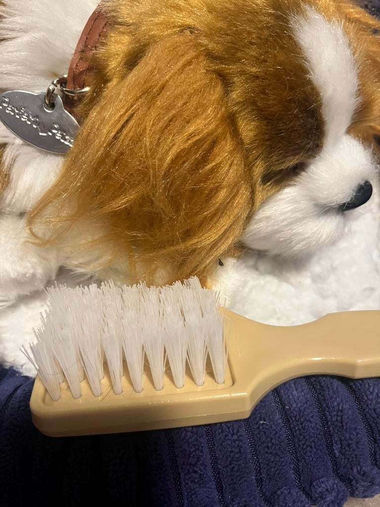 Perfect petzzz hondje in mand, Ophalen, Zo goed als nieuw, Hond