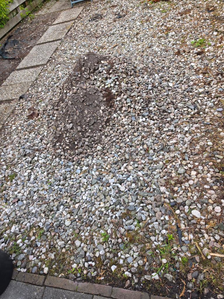 Stenen, Tuin en Terras, Ophalen