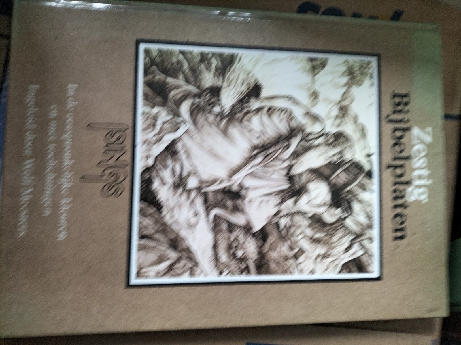 Gustave Doré - De Bijbel met 250 gravures, Antiek en Kunst, Ophalen of Verzenden, Gustave Doré