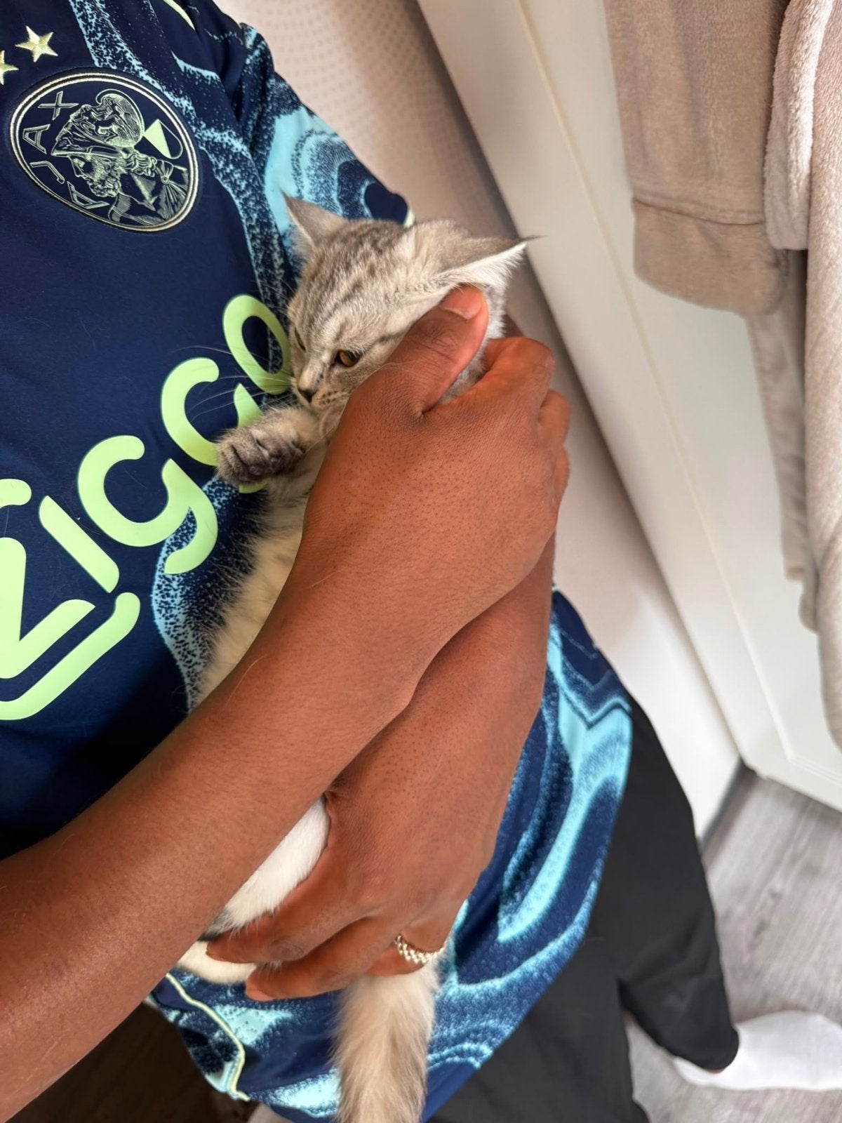 Prachtige Brits Korthaar & Brits Langhaar kittens dames, Dieren en Toebehoren, Poes, Kortharig, 0 tot 2 jaar