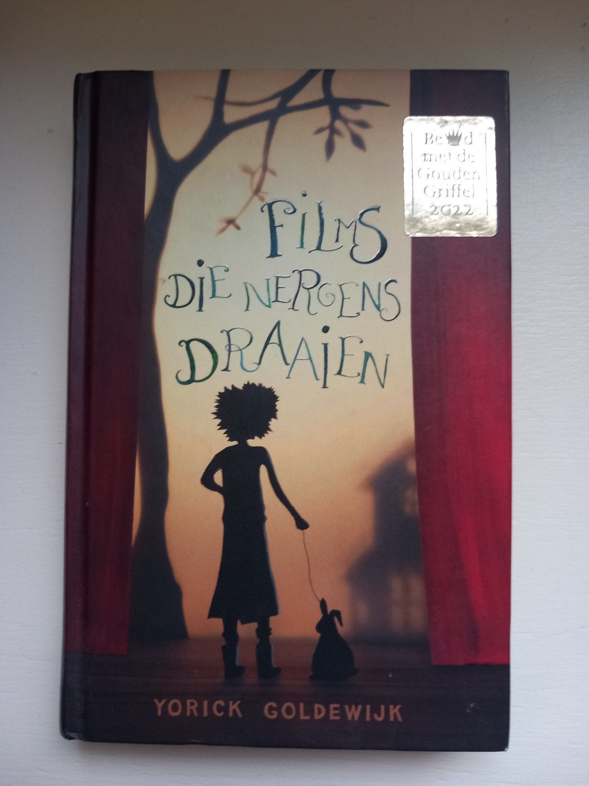 Films die nergens draaien -Yorick Goldewijk (Gouden Griffel), Ophalen of Verzenden