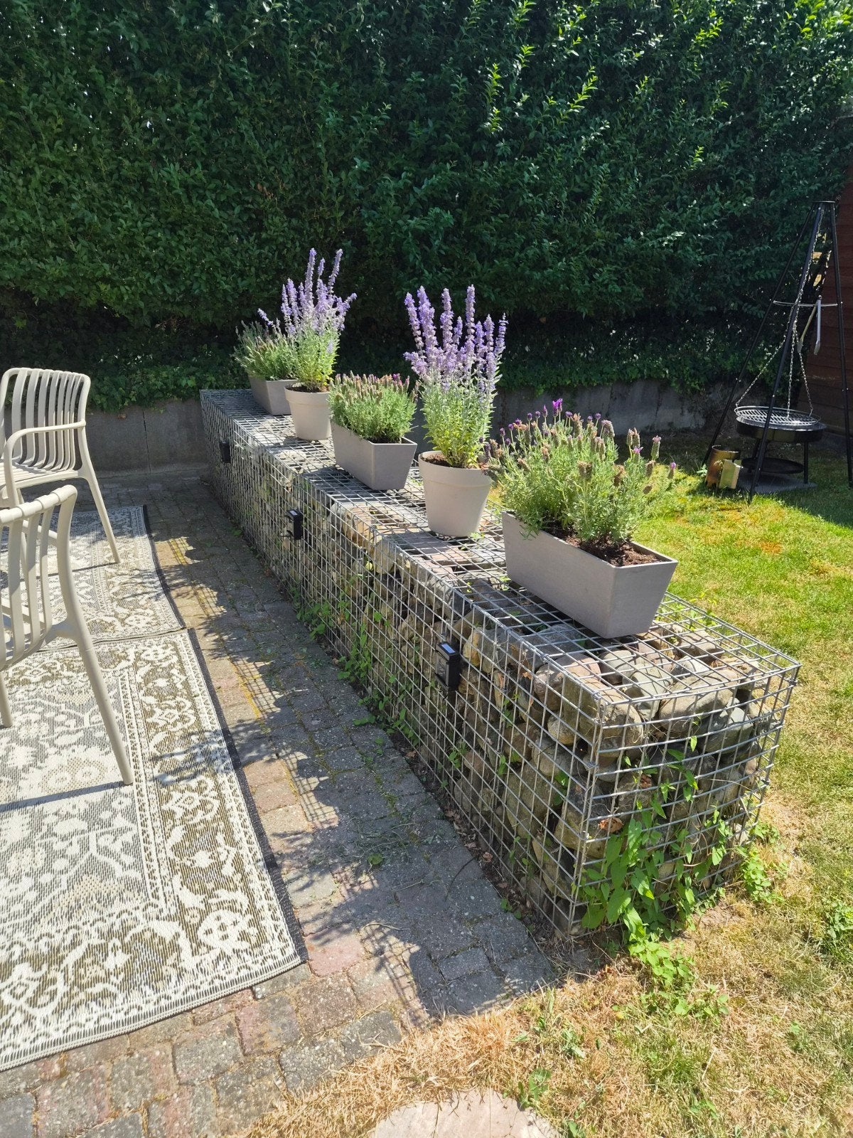 Gratis Gabionen muur, Tuin en Terras, Ophalen, Gebruikt