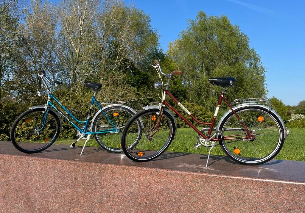 Set van twee retro vintage fietsen, 26 inch, 3 versnellingen, 51 tot 55 cm, Ophalen, Terugtraprem