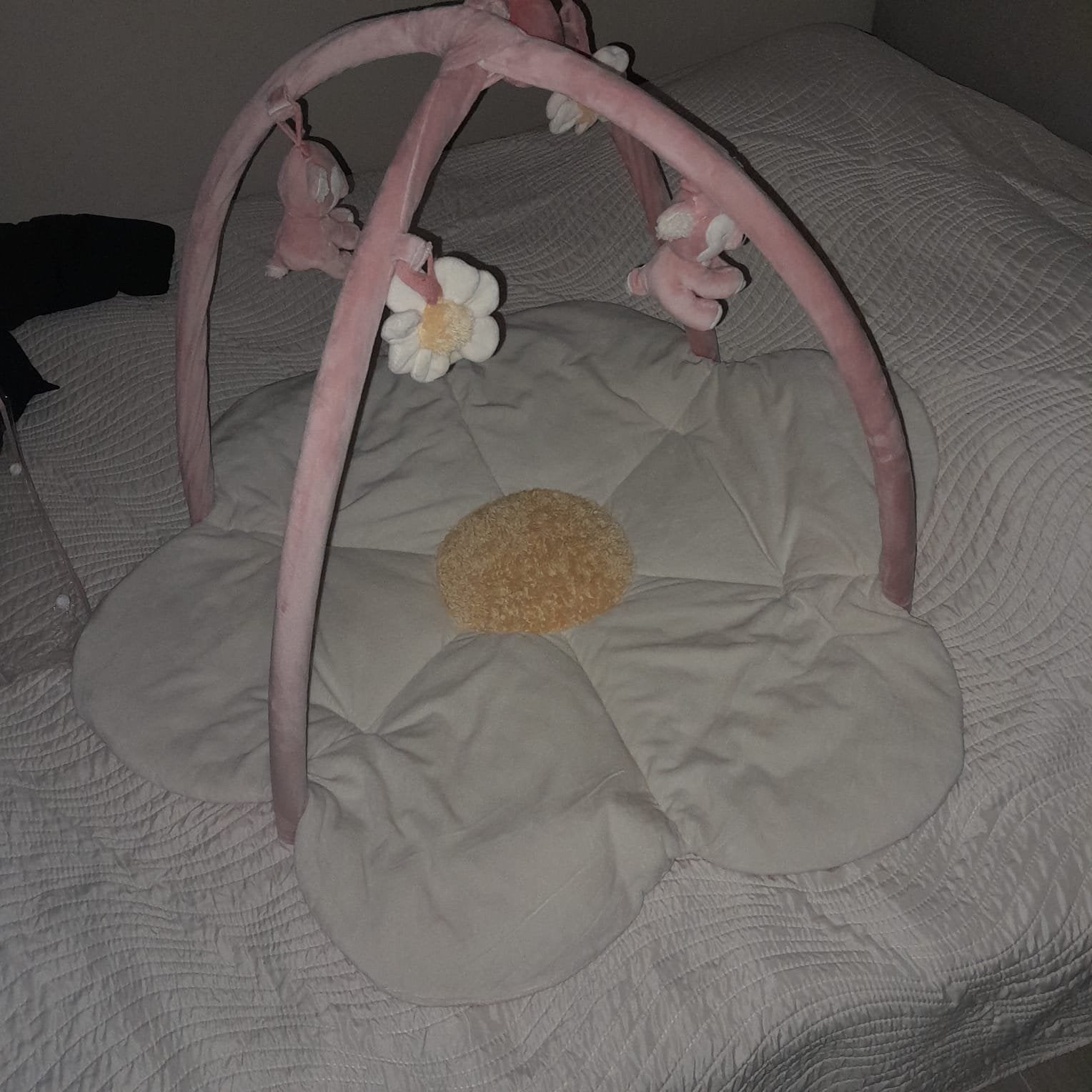 Prenental speelkleed, Ophalen of Verzenden, Zo goed als nieuw