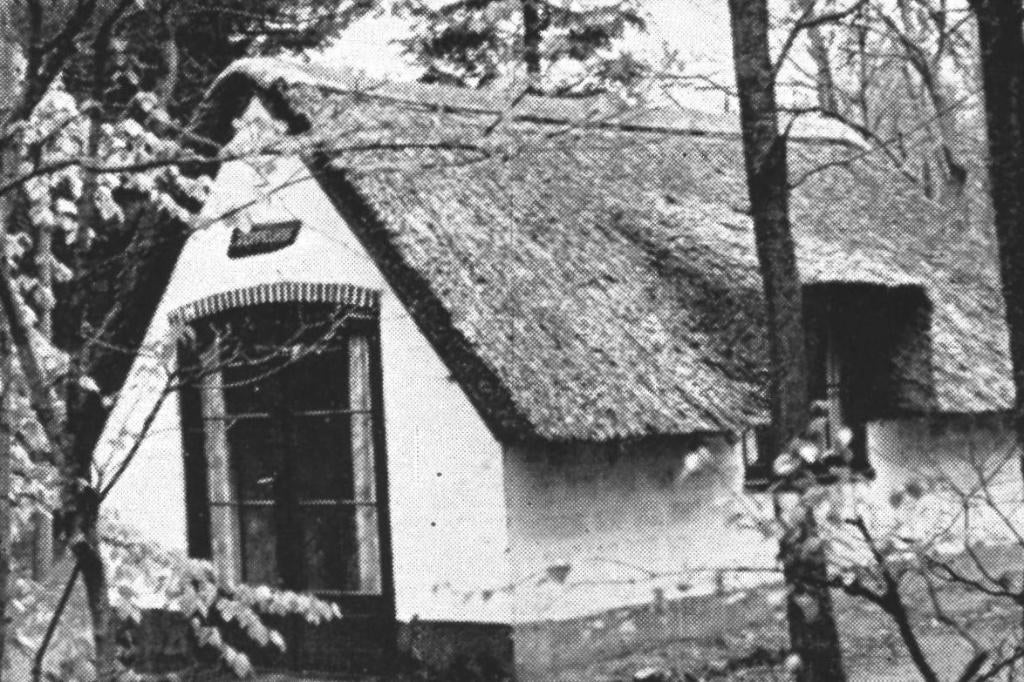 946480 Nieuw Milligen  Rabbit Hill Nette kaart Onbeschreven, Ophalen of Verzenden, 1960 tot 1980, Ongelopen, Gelderland