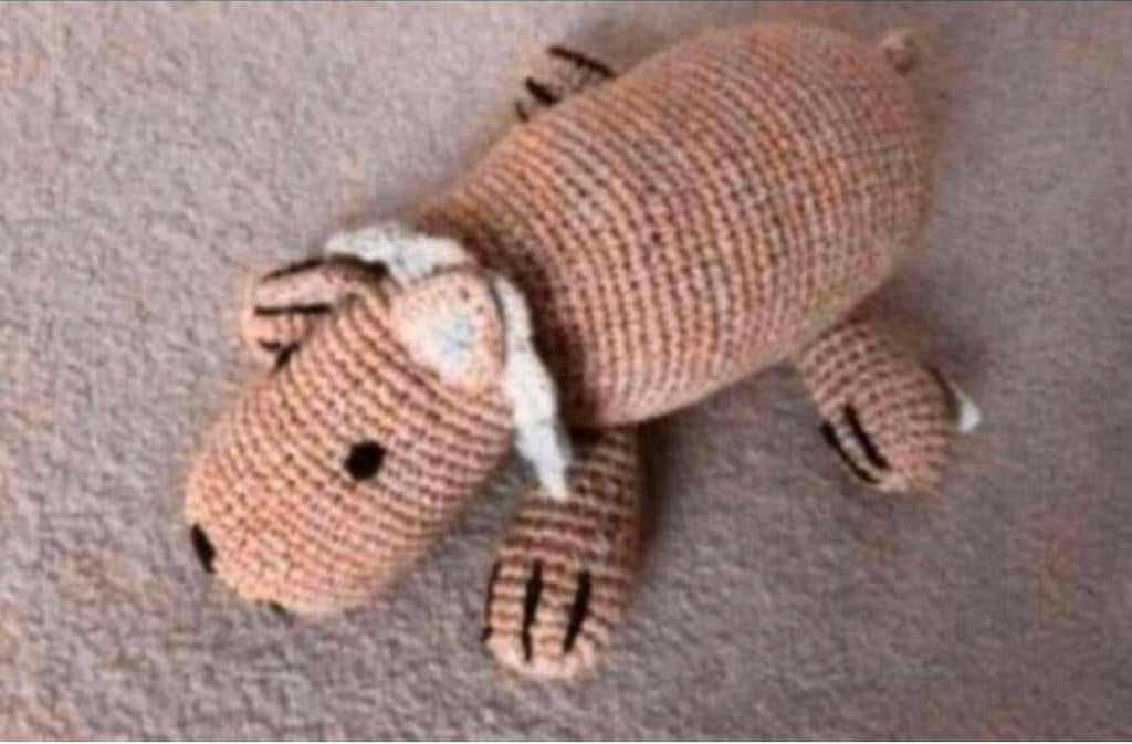 Knuffel leeuw NIEUW, Ophalen of Verzenden, Nieuw