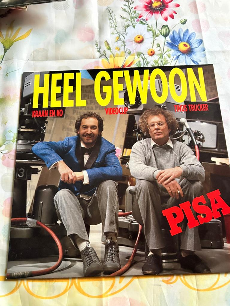 Pisa - Heel Gewoon LP (1984) - Kraan en Ko, Tinus Trucker, Cd's en Dvd's, Ophalen of Verzenden, 1980 - 1989, Gebruikt, 12 inch