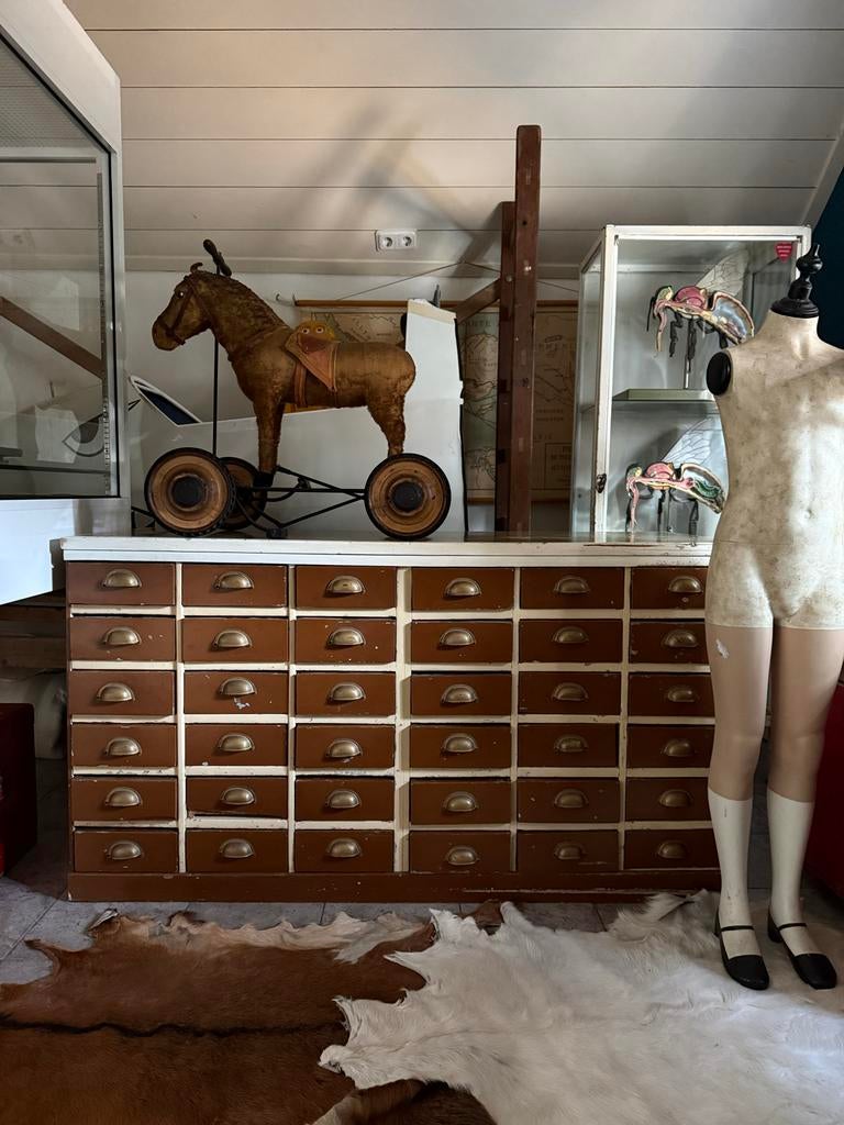 Vintage Ladekast uit Fietsenwinkel - 36 Laden, Ophalen