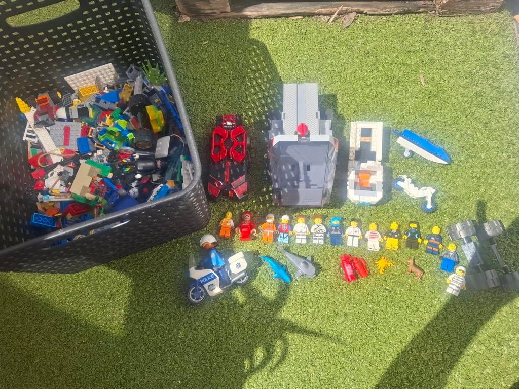 Lego, Tickets en Kaartjes, Eén persoon, Ticket of Toegangskaart