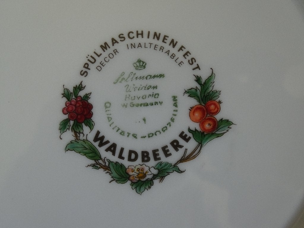 1x Diep Bord, Bavaria Seltmann-Weiden, WALDBEERE, z.g.a.n., Ophalen of Verzenden