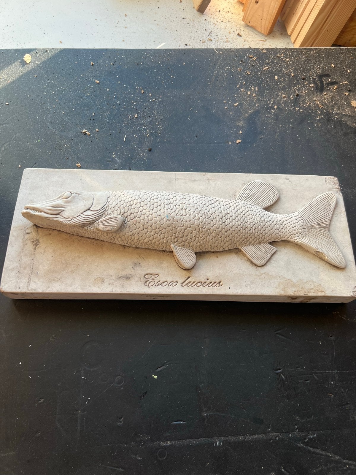 Snoek (Esox lucius) reliëf - Steen of Keramiek, Ophalen of Verzenden, Handgemaakt, Wanddecoratie, 20 - 50 cm