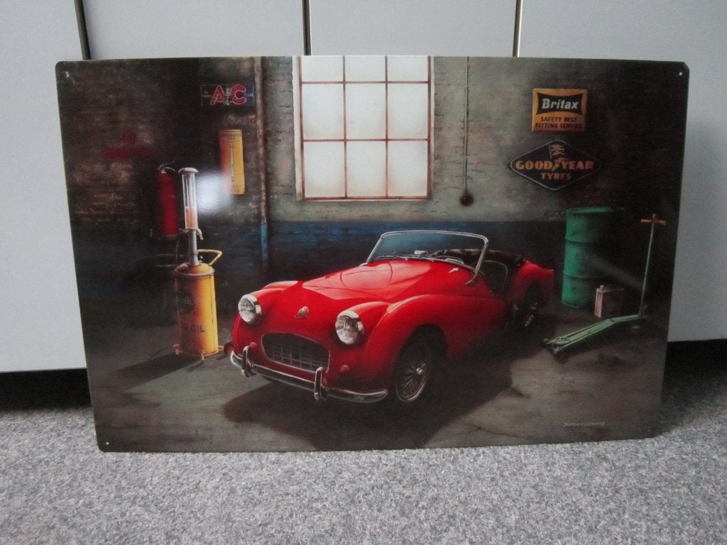 TRIUMPH BLIKKEN RECLAMEBORD, Ophalen, Gebruikt, Reclamebord