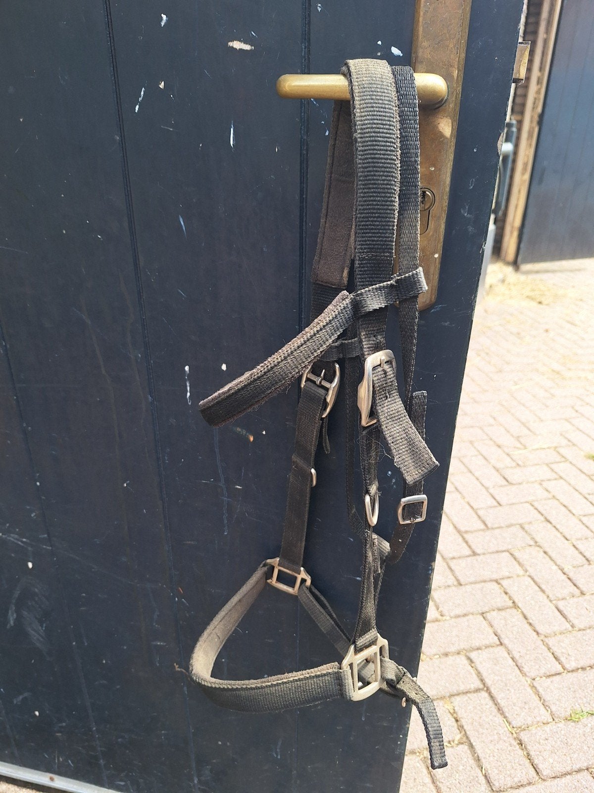 Halster met keelriem, Gebruikt, Harry's Horse, Ophalen of Verzenden, Halster