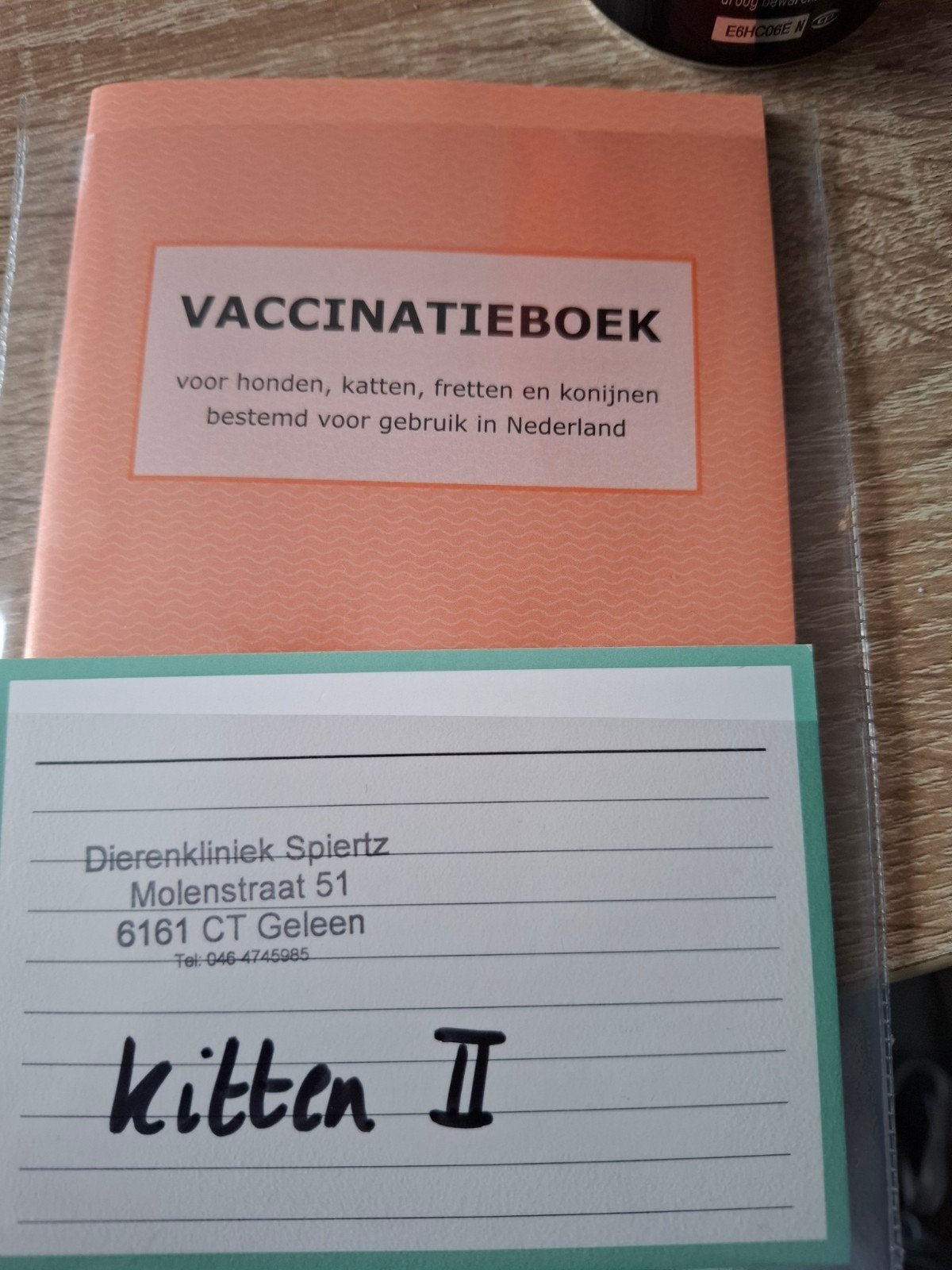 1 kitten, poesje, Dieren en Toebehoren, Katten en Kittens | Overige Katten, Poes