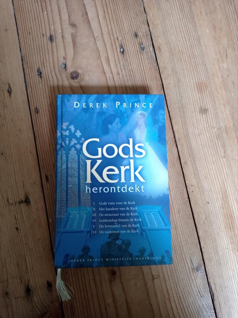 D. Prince - Gods kerk herontdekt, Ophalen of Verzenden, Zo goed als nieuw, D. Prince