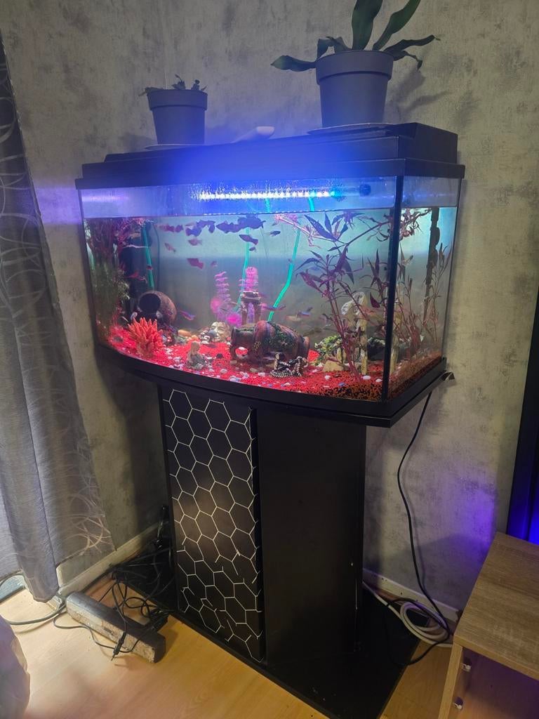 Vissen Aquarium met kast 120L, Dieren en Toebehoren, Vissen | Aquaria en Toebehoren, Ophalen, Gebruikt, Leeg aquarium