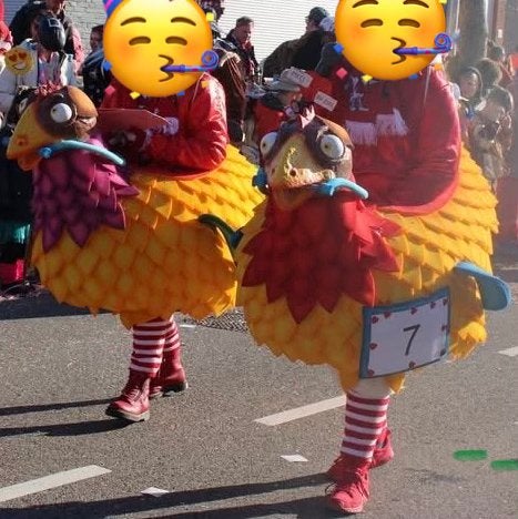 Vogelpakken carnaval optocht, Ophalen, Gedragen, Carnaval