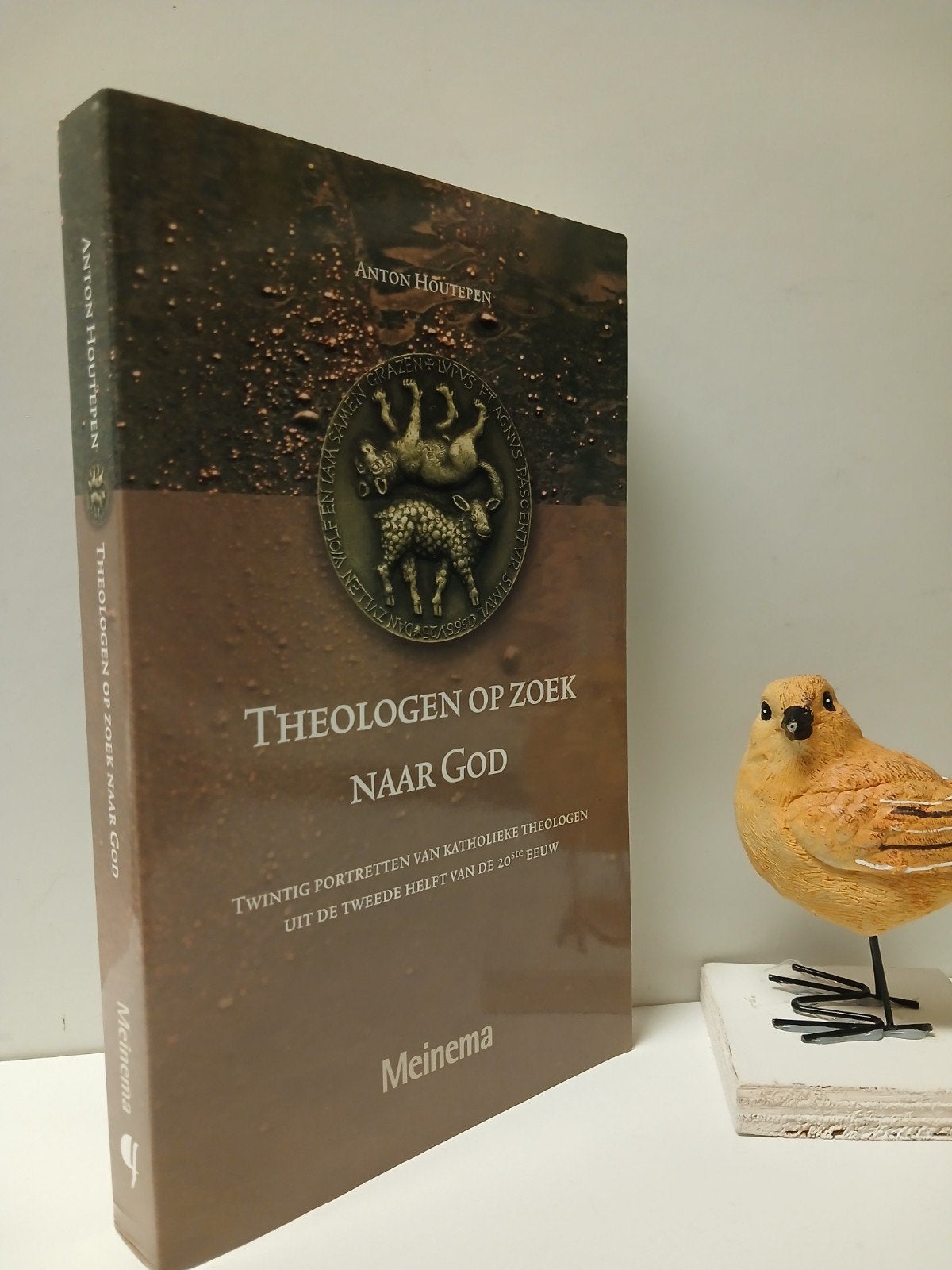 Houtepen, Anton; Theologen op zoek naar God, Ophalen of Verzenden, Gelezen, Christendom | Katholiek