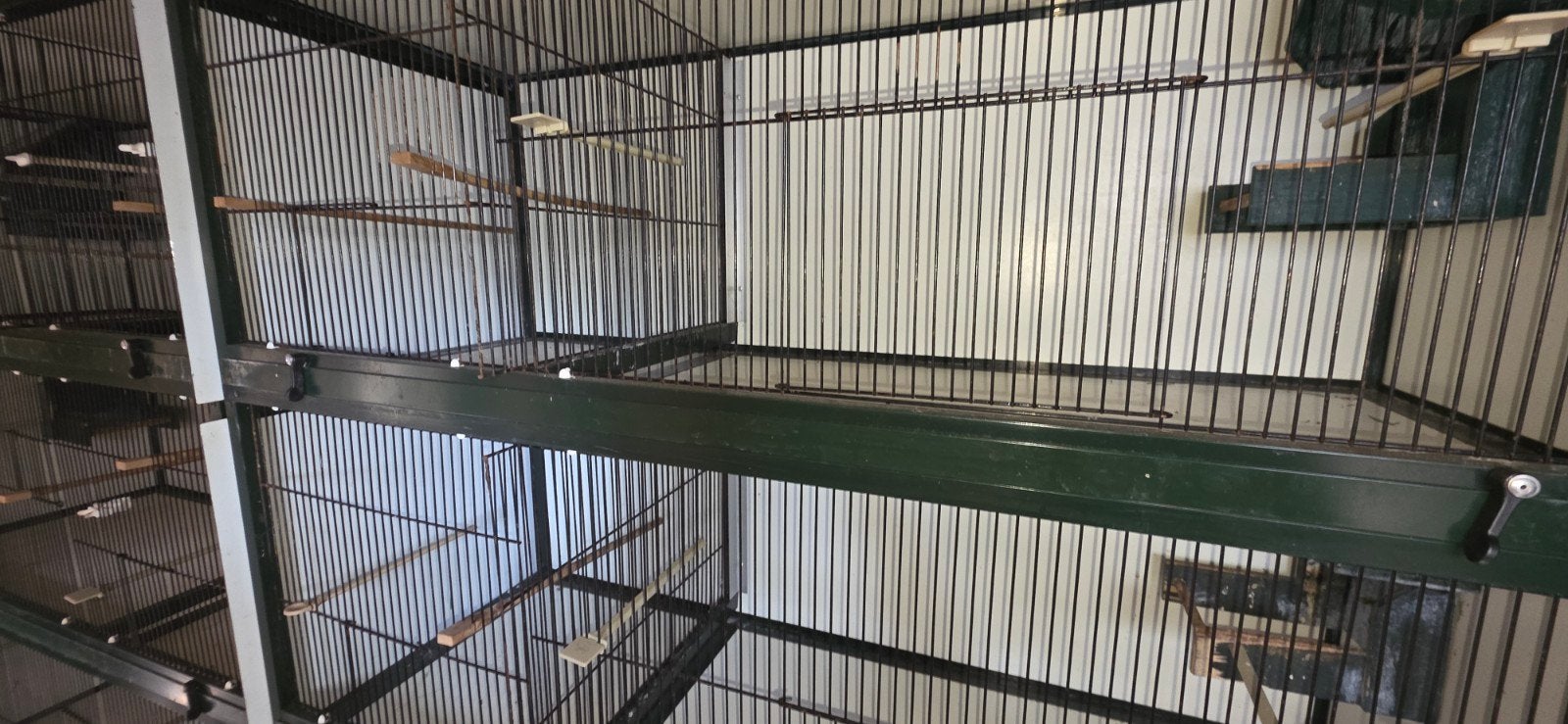 broedkooi kweekkooi vogels putters goudvink, Ophalen, Aluminium, Broedkooi of Kweekkooi