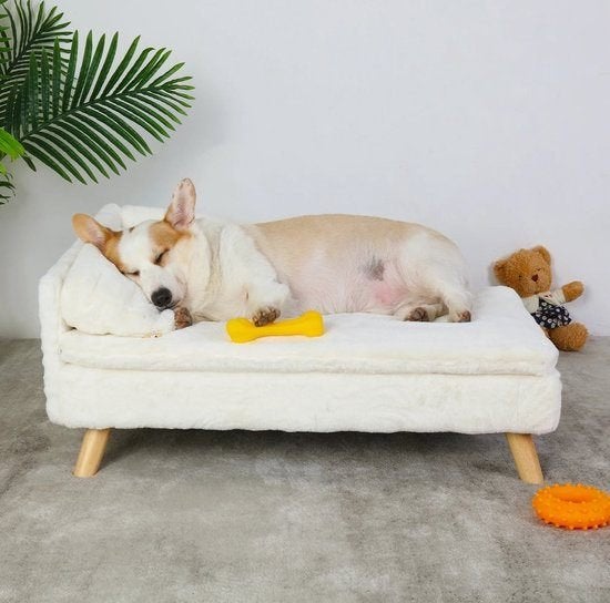 Hondenbed - Hondenbench - Hondensofa - Hondenmand - Verhoogd, Corvance B.V., Verzenden, Nieuw, Corvancebol@gmail.com