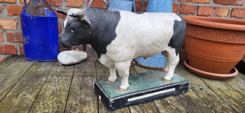 Fantastisch oud Plaasteren Beeld Slagerij Stier, Antiek en Kunst, Curiosa en Brocante, Ophalen