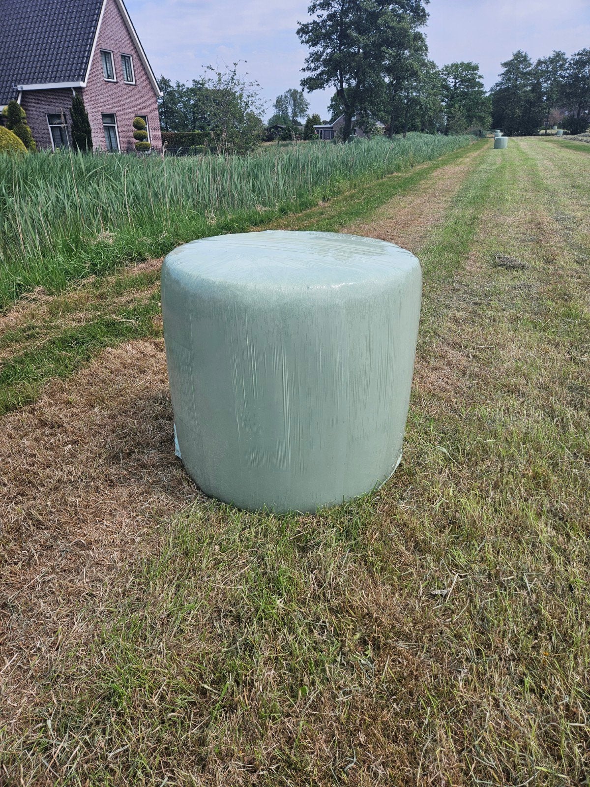 Midibalen te koop, Dieren en Toebehoren, Dierenvoeding, Ophalen, Vee